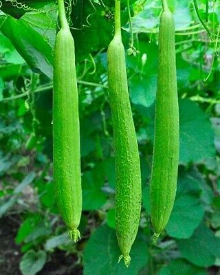Satputiya Special Jhigni image a