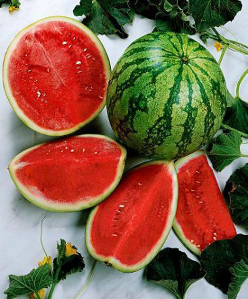 Water Melon Sweety image a