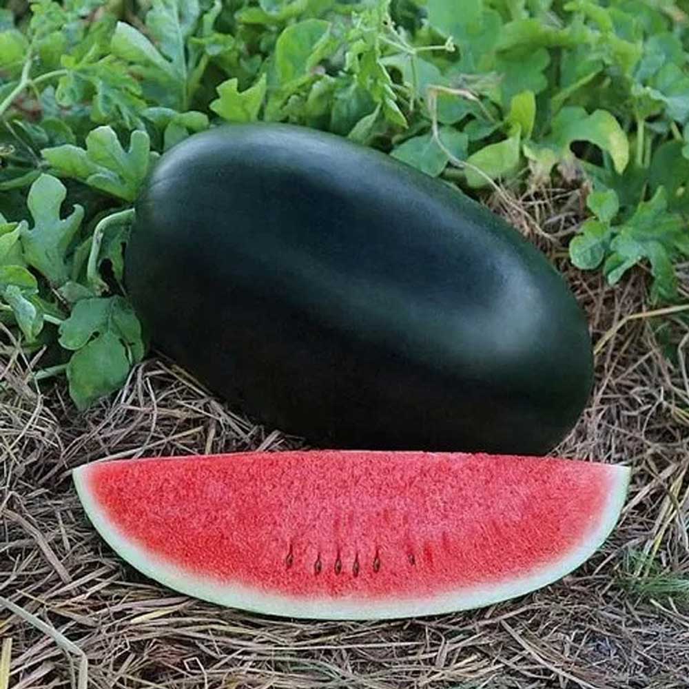 Water Melon Sweety image e
