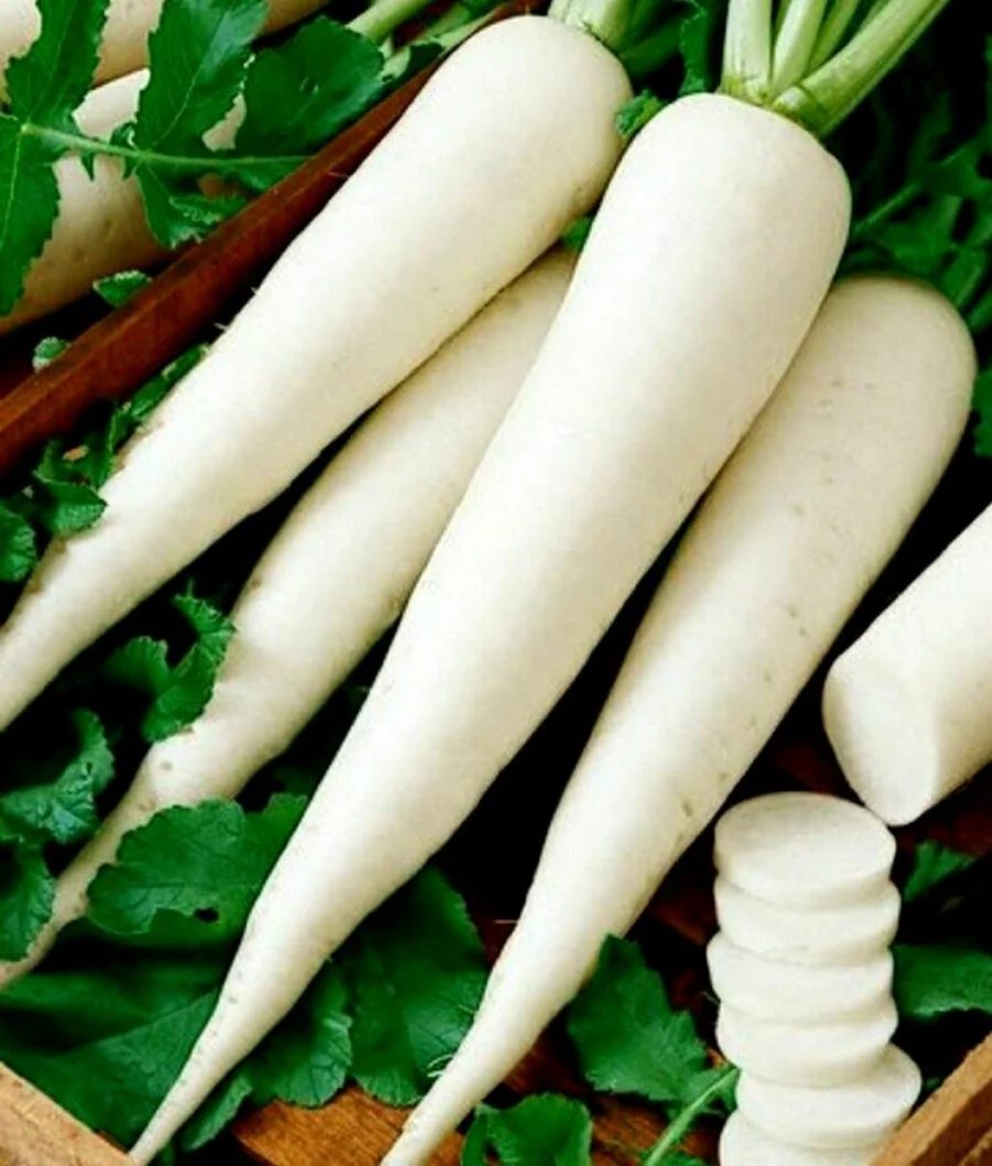 Radish Seeds Long Chatak image d