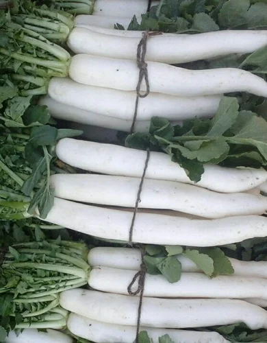 Radish Seeds Every White image a