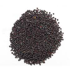 Mustard Seed Priya Gold image d