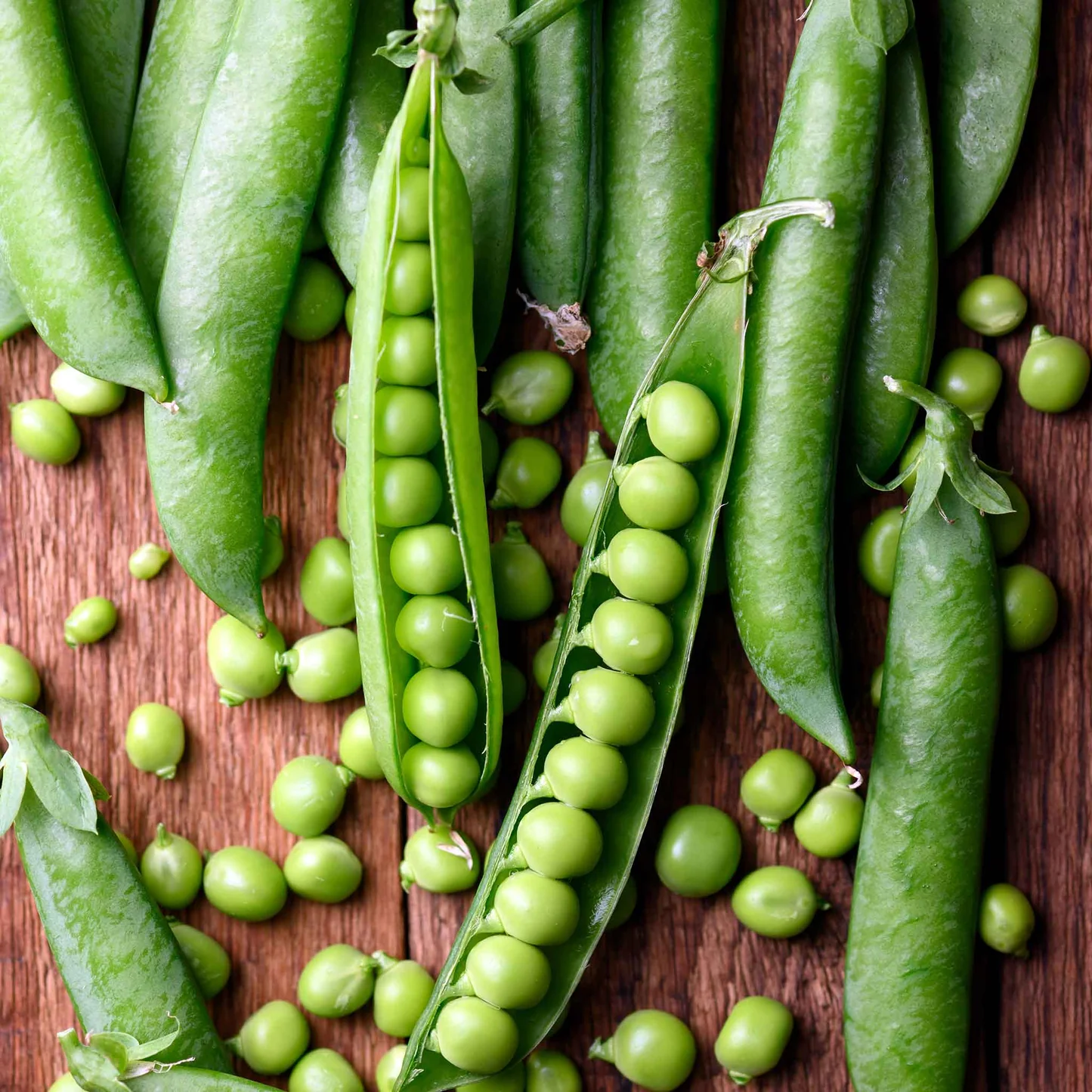 Pally Green SG image c