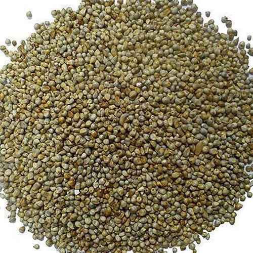 Hybrid Bajra Chetak - 786 image a