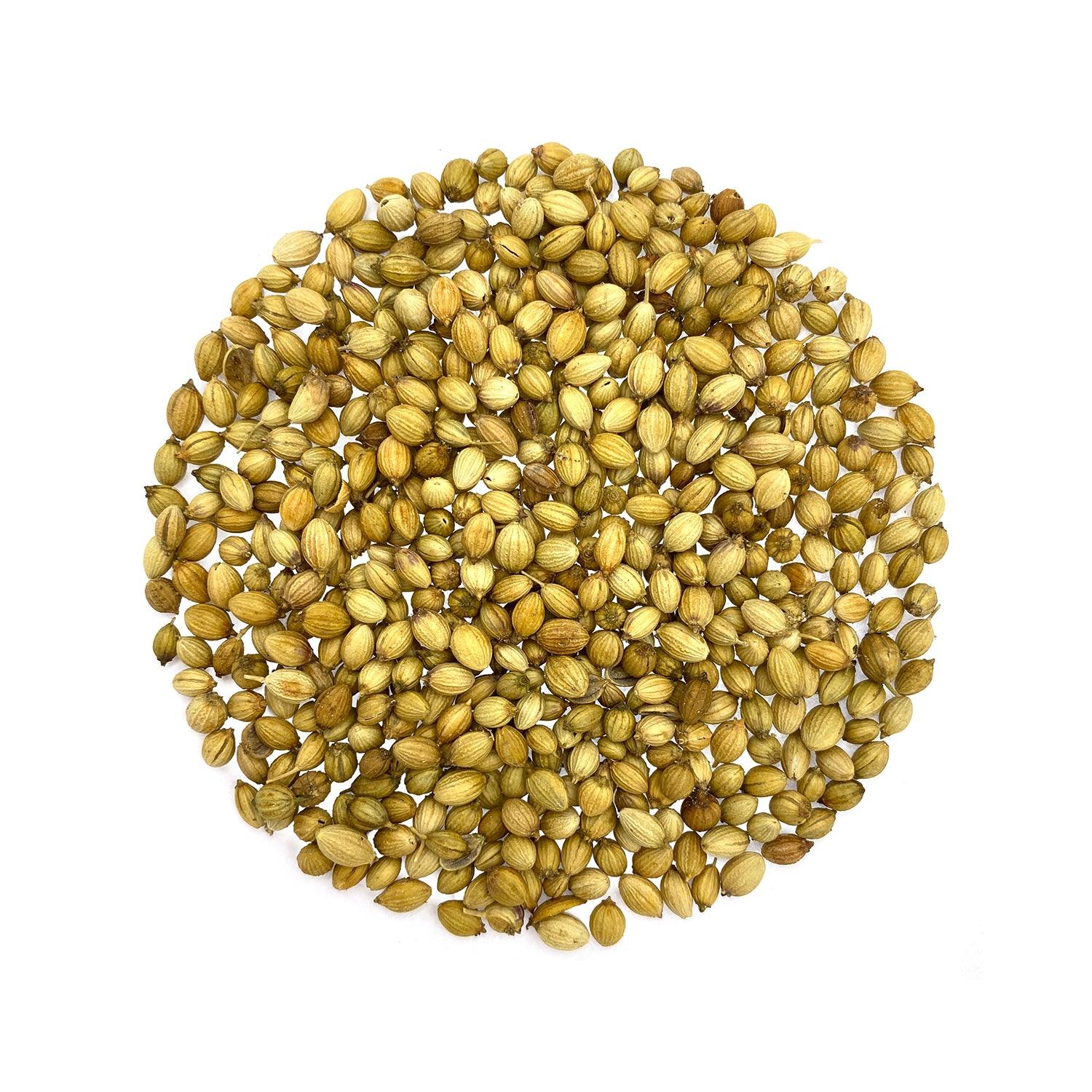 Coriander Seeds Komal image d