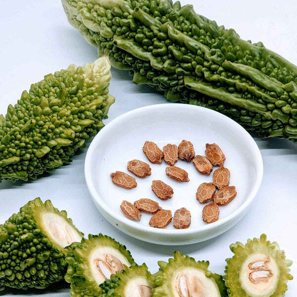 Bitter Gourd Jaunpuri image d