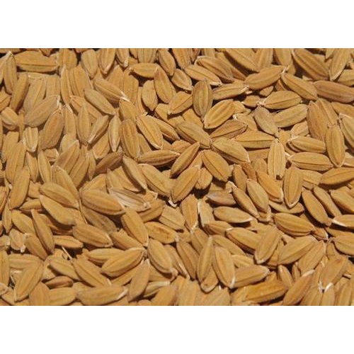 Paddy PB - 2511 image a