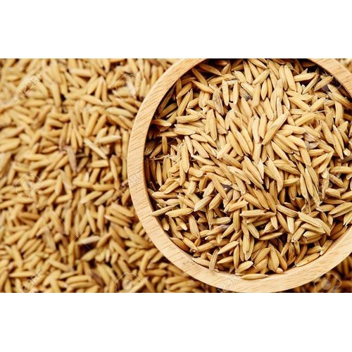 Paddy K - 701 image b